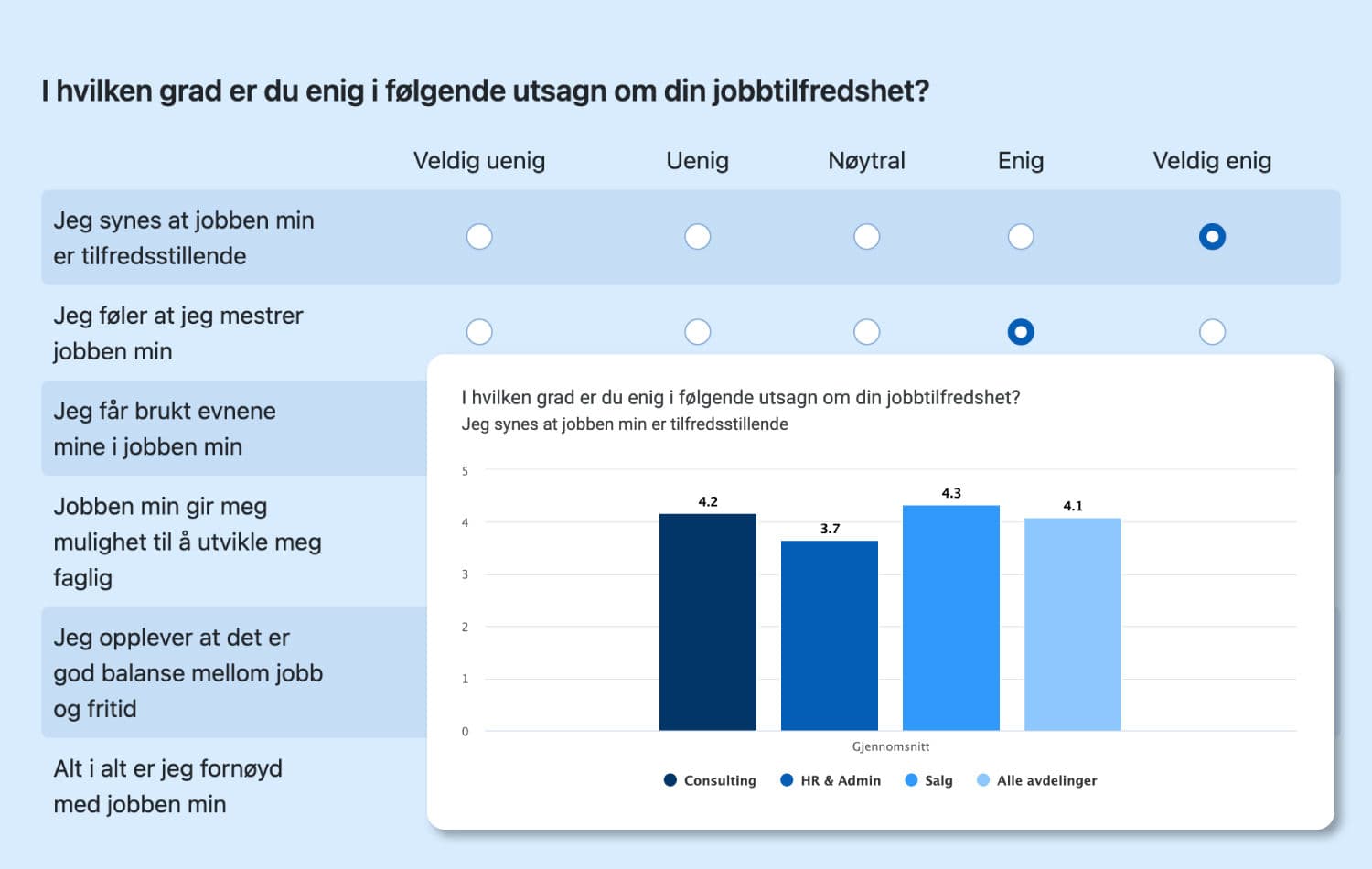 Medarbeider-skjema-og-rapport-6