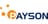 Payson Checkout logotyp